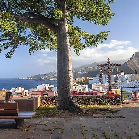El Mango * Santa Cruz de la Palma (Isla de la Palma)